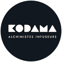 Filtre à thé universel inox – Kodama Paris
