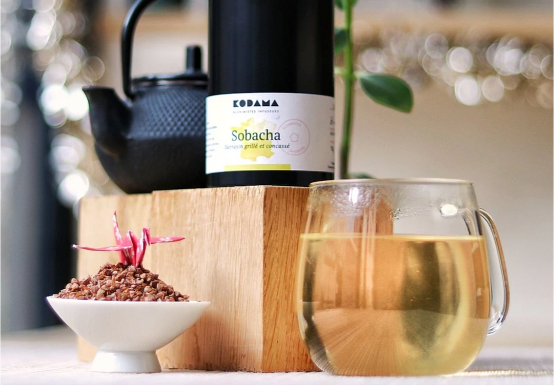 Le Sobacha, secret du plaisir et du bien-être au Japon