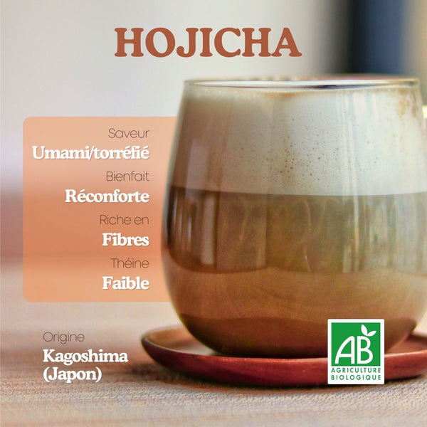 Hojicha Bio pour Latte