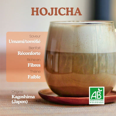 Hojicha Bio pour Latte - Poudre de thé vert torréfié japonais