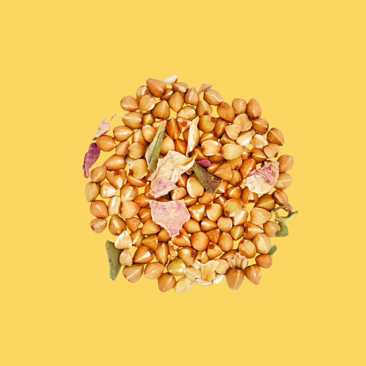 La Beauté du Geste - Sobacha et Sakura