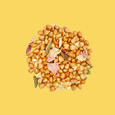 La Beauté du Geste - Sobacha et Sakura
