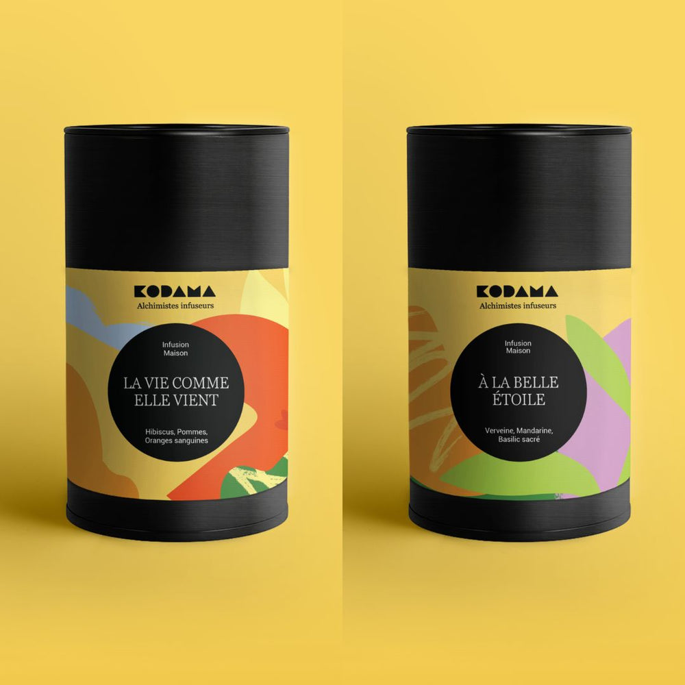 Coffret cadeau thé Coffret Duo Infusions – Idée cadeau premium – Kodama Paris