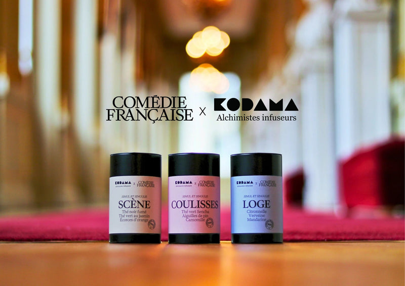 Découvrez la collection →
