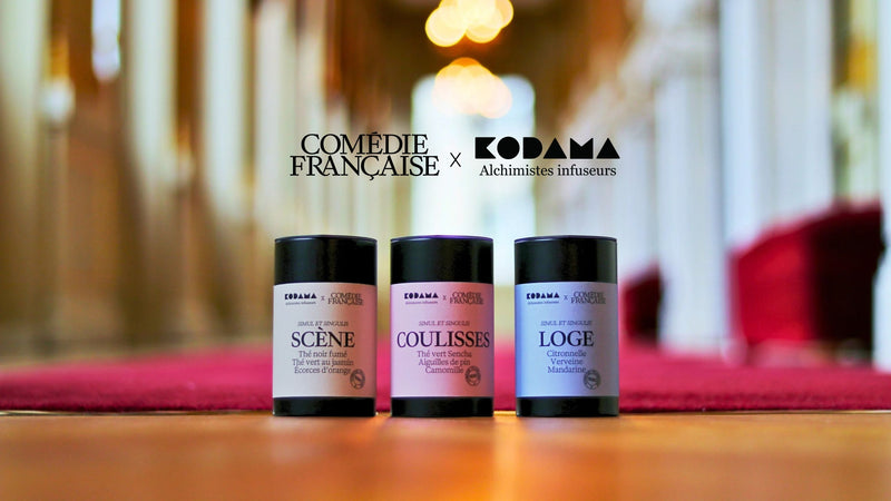 Découvrez la collection →