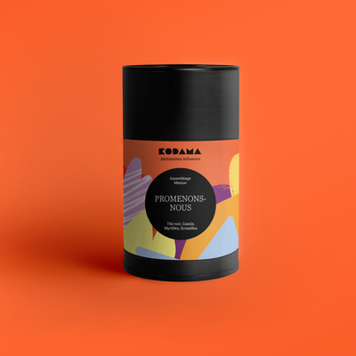 Promenons-nous Bio - Thé noir, Cassis, Myrtilles, Groseilles