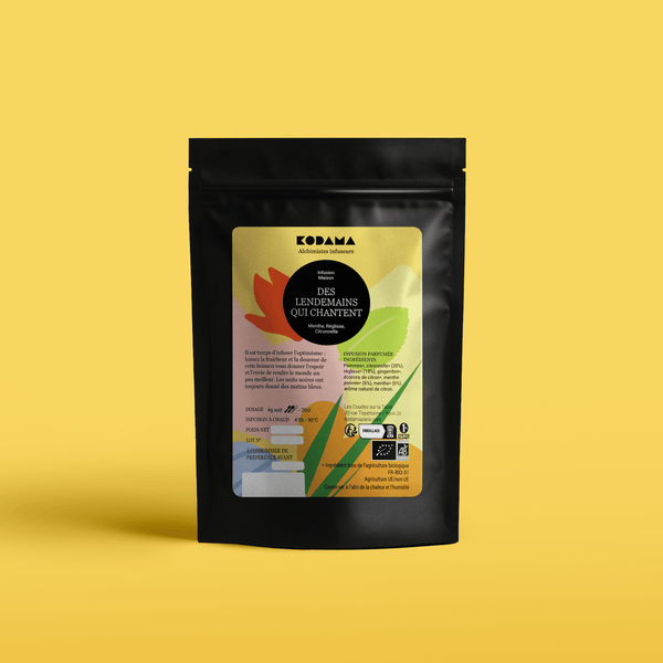 Infusion bio, Menthe, Réglisse, Citronnelle – Des Lendemains qui Chantent Bio – Kodama Paris