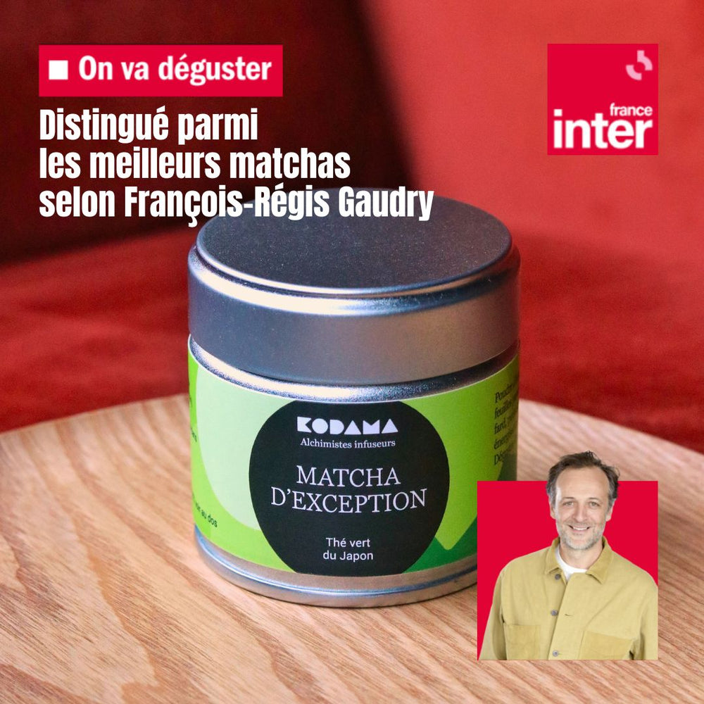 matcha d'exception japon kodama gaudry meilleur matcha on va déguster