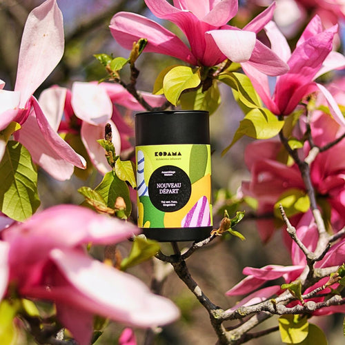 Nouveau Départ thé vert yuzu gingembre
