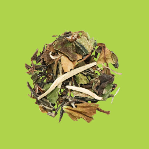 Thé vert bio, Fleurs de jasmin de Chine – Jasmin Bio – Kodama Paris