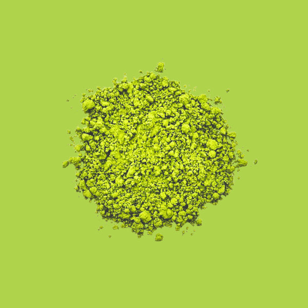 Matcha Bio pour Matcha Latte – Matcha – Poudre de thé vert japonais – Kodama Paris - Poudre