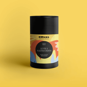 Rooibos bio, Pommes, Épices douces, Cannelle – La Vie à Pleines Dents Bio – Kodama Paris