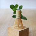 Fouet à Matcha