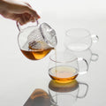 Théière M verre/plastique 500ml